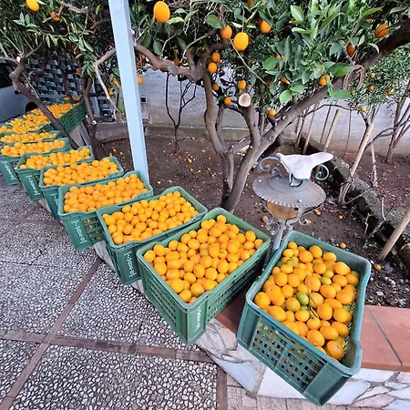 Prázdninový dům Duplex House Palermo