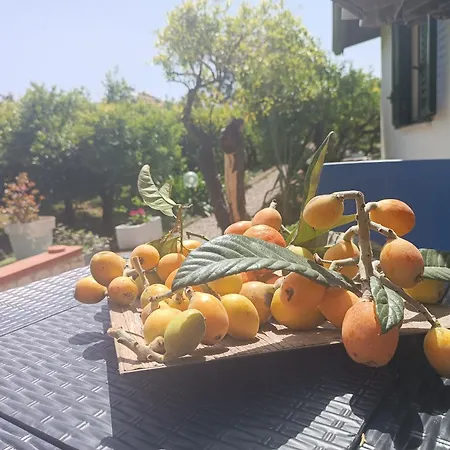 Duplex House Semesterbostad Palermo