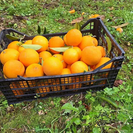 Duplex House Hébergement de vacances Palerme